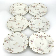 Limoges Haviland Schleiger