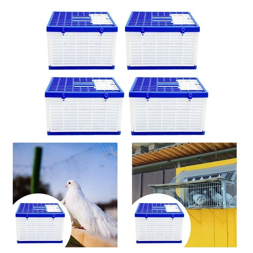 Folding pigeon cage - folding,