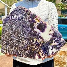 5.9LB  Zebra Marble End Plate Cabbing Lapidary Carved Spiritual Chakra Utah