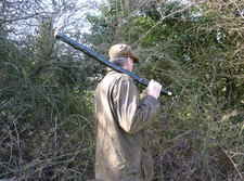HUGE IRISH BLACKTHORN
