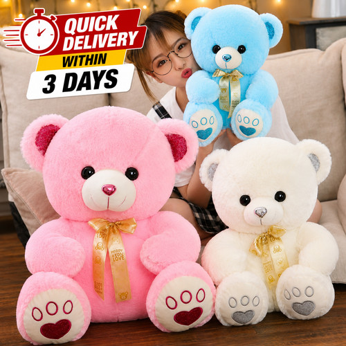 Toy cute cartoon big teddy - cartoon,