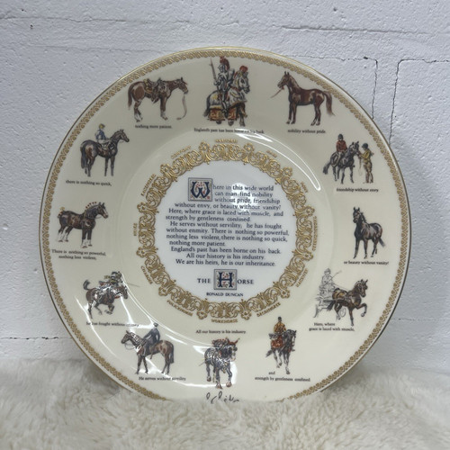 Aynsley the horse collector - aynsley,