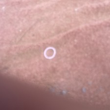 R380 Gearbox 300tdi Manual And