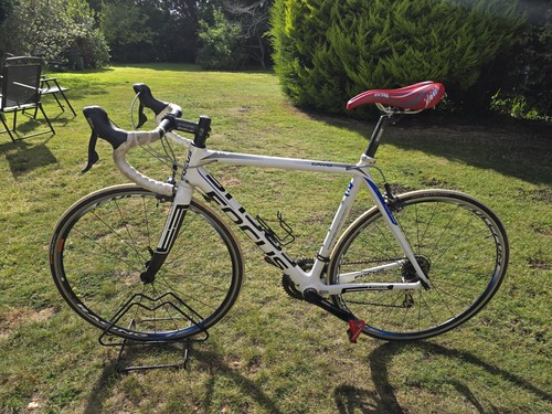 Focus cayo carbon - focus,