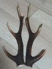 PAIR OF SIKA DEER ANTLERS
