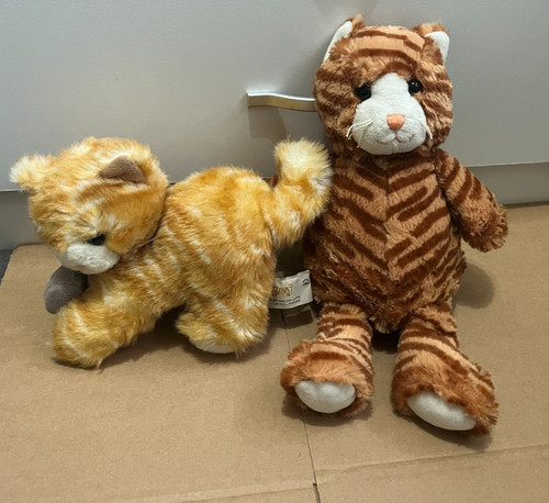 Ginger orange tabby striped - ginger,