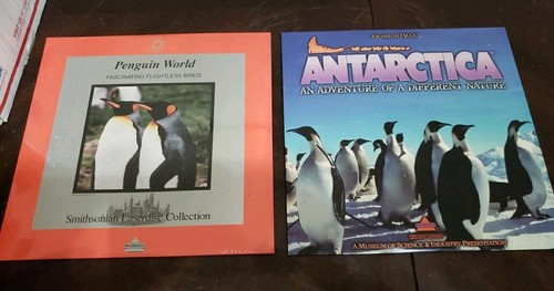 Lot laserdisc penguin - of, 2