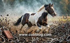 COBBLOG.COM - Premium Horse &