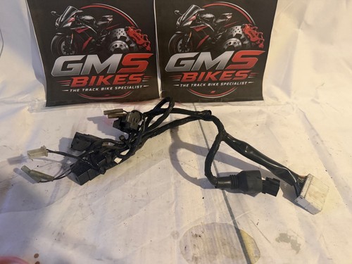 Clocks headlight wiring loom - headlight,