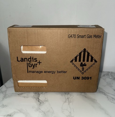 Gas meter landis gyr - e6,