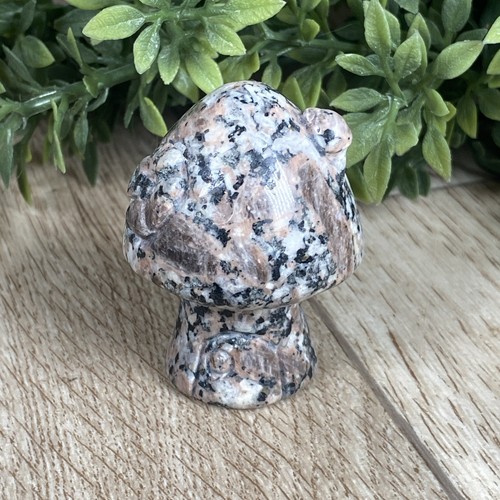 Small stone mushroom - small,