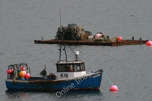 Photo 6x4 fishing - photo,