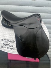 17.5 Inch Black Albion Legend