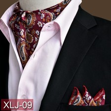 Men`s Premium Paisley Ascot