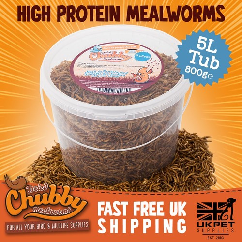 Litres high quality chubby - 5,