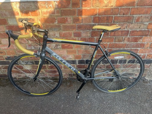 Carrera tdf ltd - tdf, road