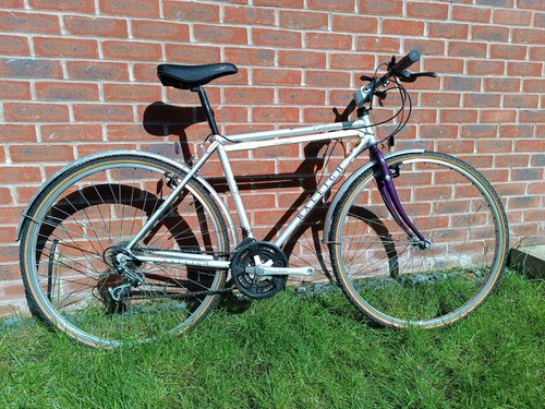 Raleigh pioneer men vintage - raleigh,
