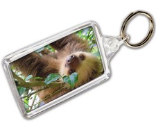 Sloth Keyring Photo Keychain -