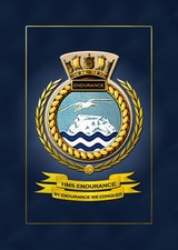 HMS ENDURANCE SHIPS BADGE/CREST - HUNDREDS OF HM SHIPS IN STOCK