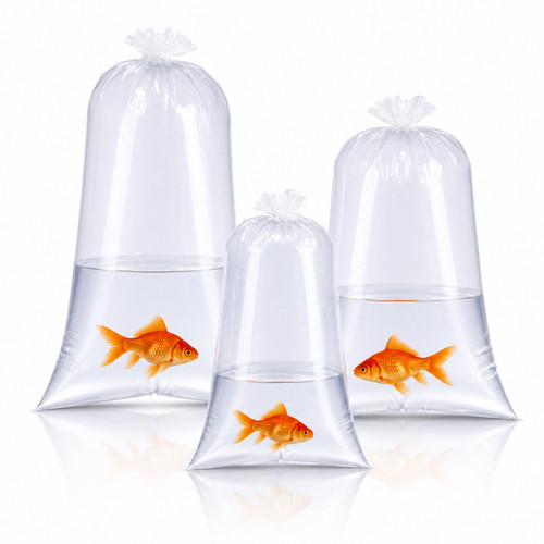 Aquarium fish transport bags - fish,