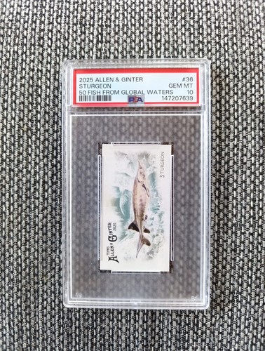 2025 topps allen - allen, &