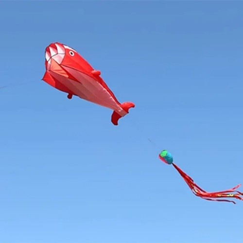 Giant dolphin whale kite - giant, 2.2m