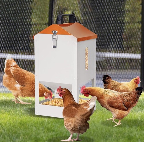 8kg chicken feeder open - 8kg, feeder,