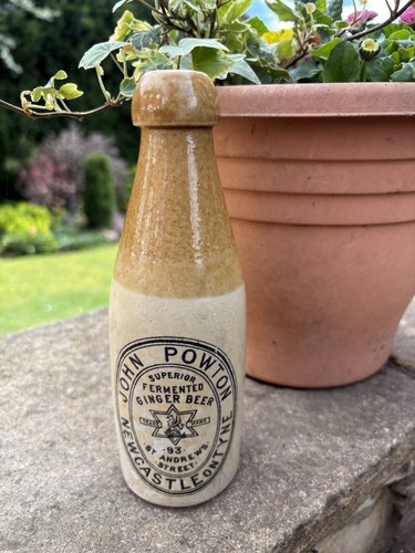 John powton fermented ginger - john,