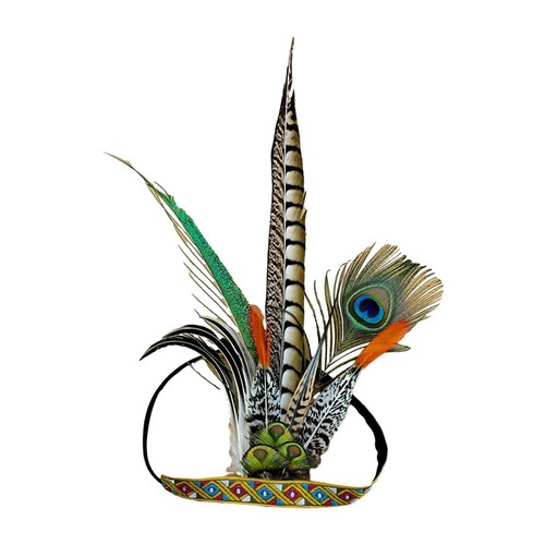 Feather headdress american - feather,
