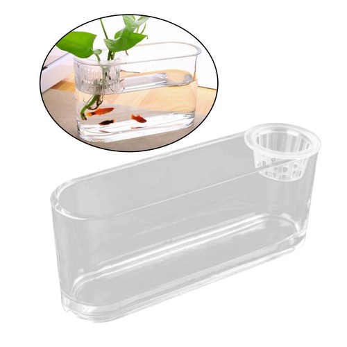 Aquaponic fish tank plant - fish,