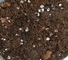 Premium professionally mixed