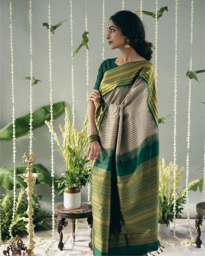 Sari indian pakistani - sari,