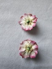 Vintage Royal Crown Derby