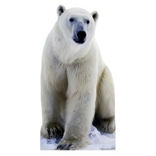 Polar Bear Lifesize Cardboard