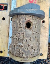 Nest Box (Rustic) - carved