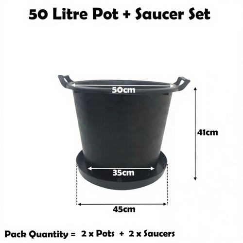Litre plant pot - plant, with