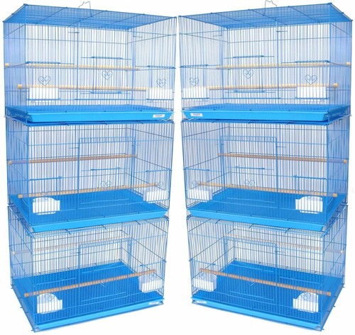 Lot blue canaries budgies - 6,