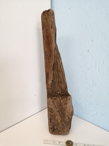 4380 flat driftwood worn - , by
