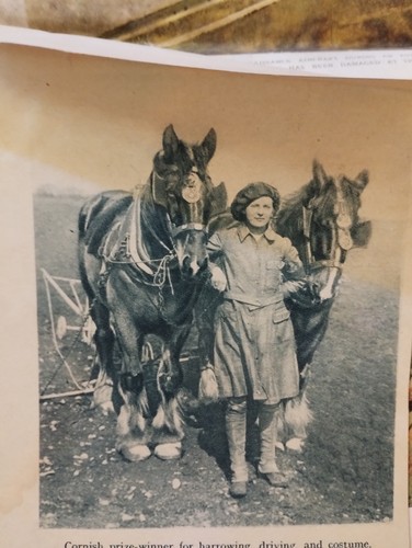 Sk312 ephemera 1916 ww1 - sk312,