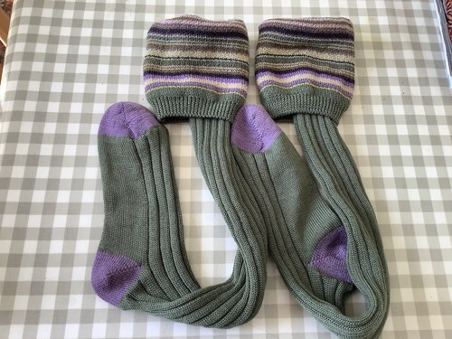 Ladies pennine country - ladies,