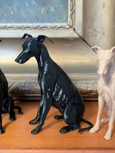 Greyhound lurcher whippet home - greyhound,