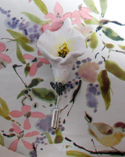 White arum lily - calla,
