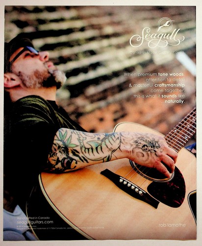 2014 seagull guitars rob - guitars,