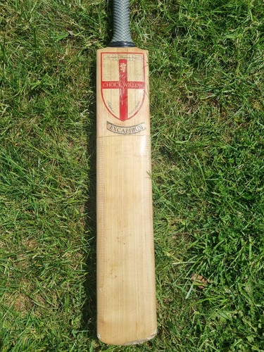 Choice willow cricket bat - cricket,