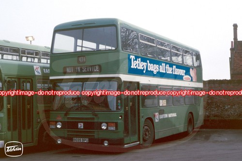 Bus photo eastern national - bus,