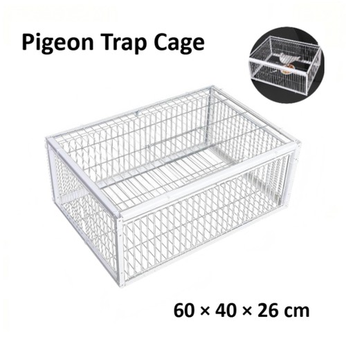 Pigeon trap cage doors - cage,