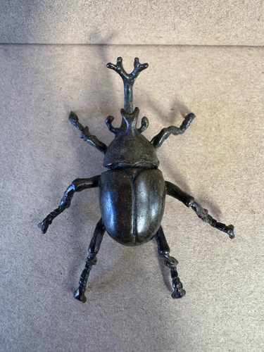 Japanese bronze dung beetle - beetle,