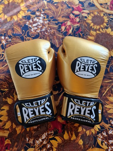 Cleto reyes universal - universal, training