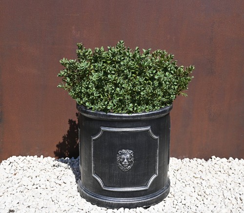 Clayfibre lion head round - clayfibre,