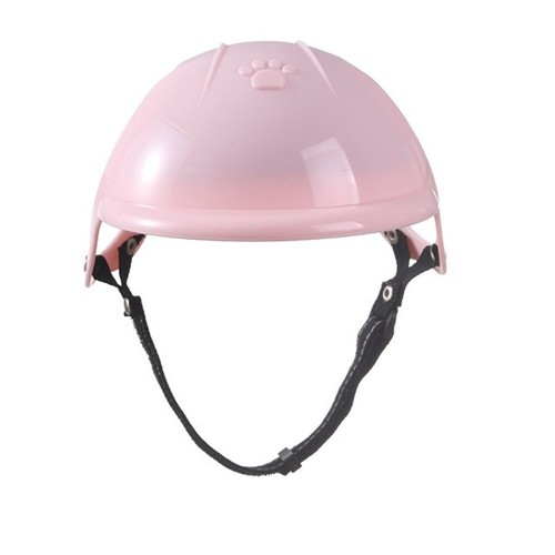 Pet cats dogs puppy motorcycle - pet,